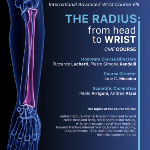 The Radius: from head to wrist